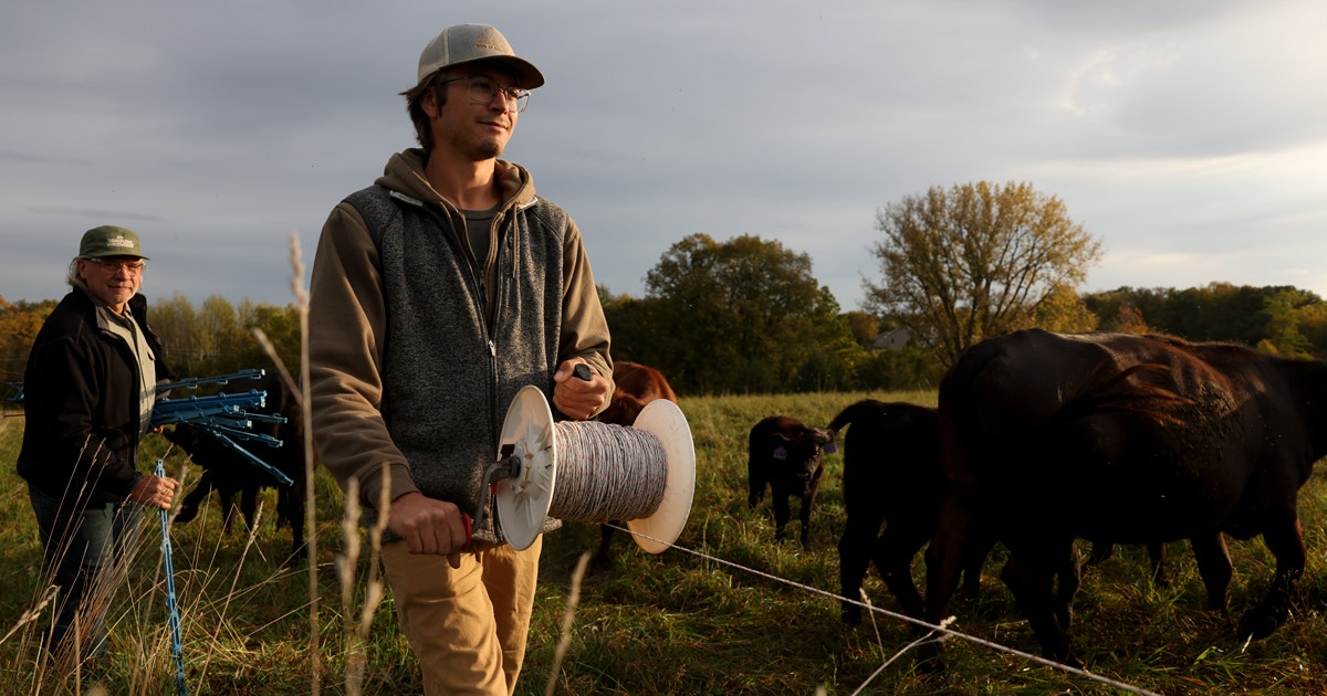 To Develop Grassland Habitat, Conservationists Attempt a New Incentive: Cash for Birds